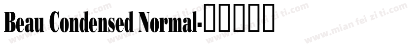 Beau Condensed Normal字体转换